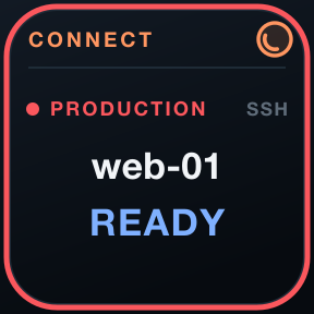 Connect: Launch one configured connection.