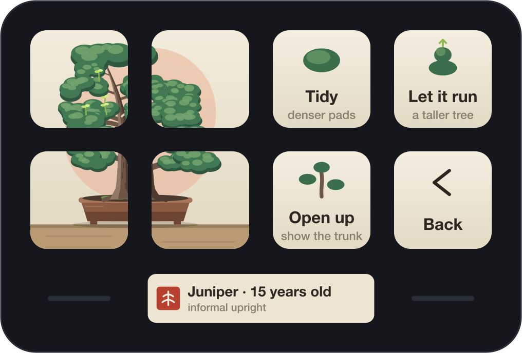 Pruning: five minutes, and you choose what the tree becomes