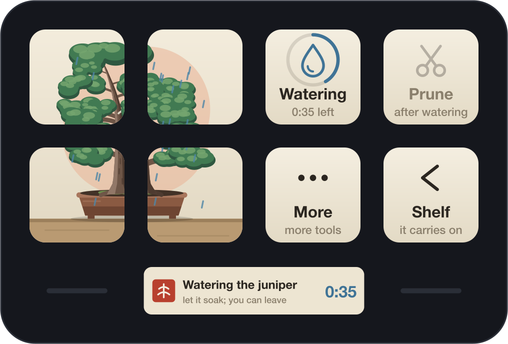 Watering: one minute, as it soaks in