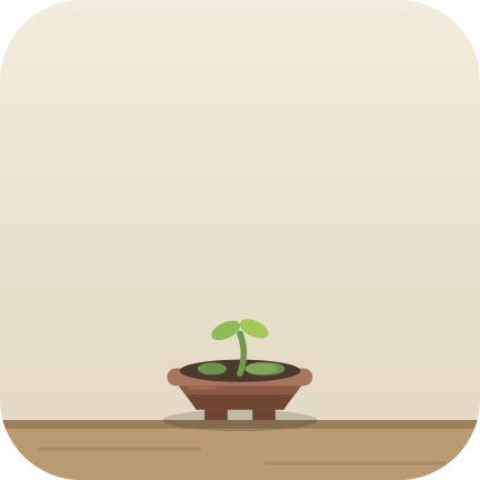 Day 4: a seedling