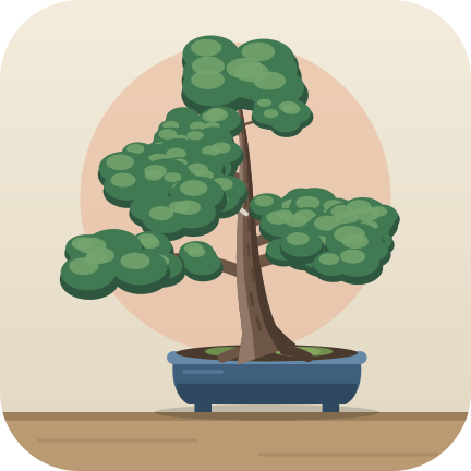 1 year: a bonsai