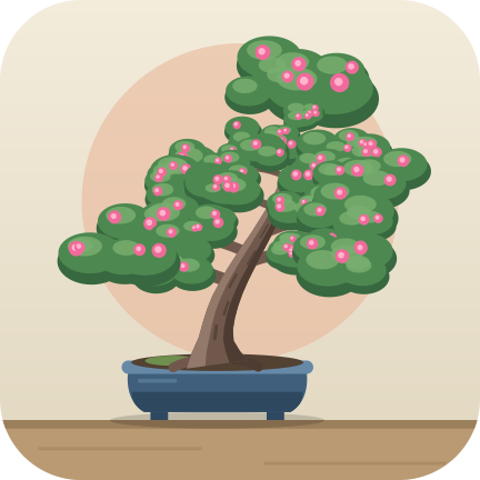 Azalea: flowers in summer