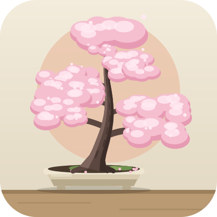 Cherry: a week of blossom