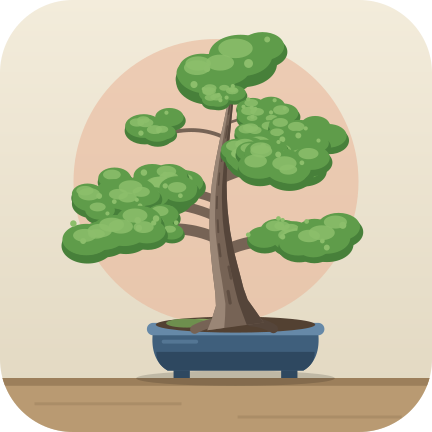 Chinese elm: quick and forgiving