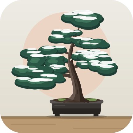 Black pine: flat tiers; snow in winter