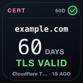 Certificate Watch: One verified certificate: expiry, chain and hostname.