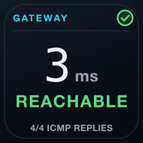 Gateway: Whether the default gateway answers, and how quickly.