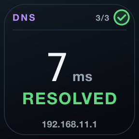 DNS: Resolution time and success for your domains.