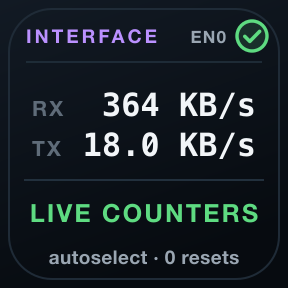 Interface: Live receive and transmit rates.